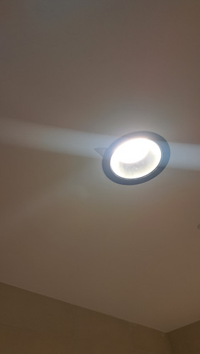 20260402 110255.jpg