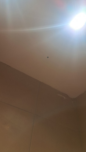 20260331 081447.jpg