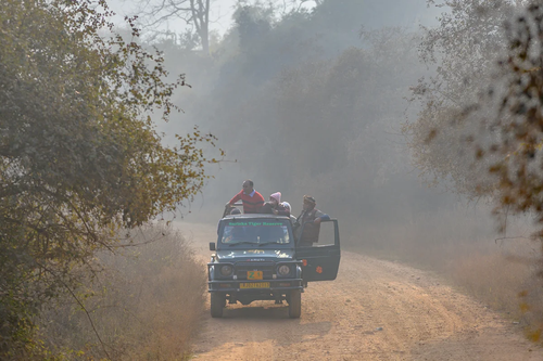 jeep safari sariska.png