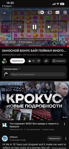 IMG 1216.png