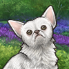 IMG 0170.png