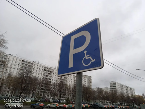 15555447.png