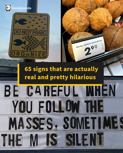 weird hilarious interesting signs.jpg