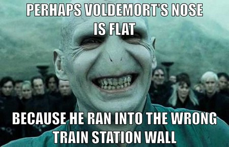 vit2 voldemort 450.jpg