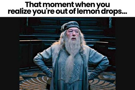 vit2 dumbledore 450.jpg