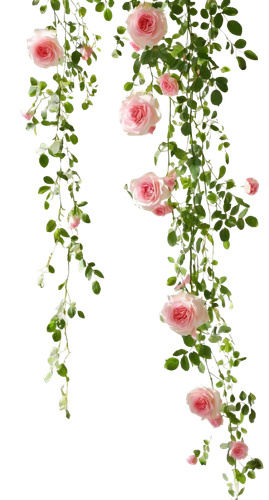 Thiết kế chưa có tên (33).png