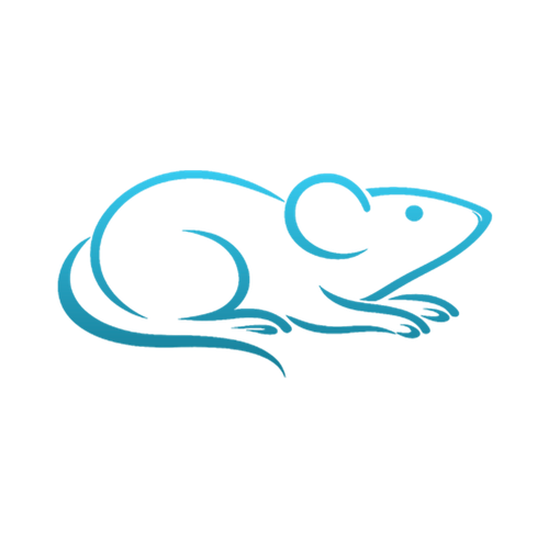 icon png.png