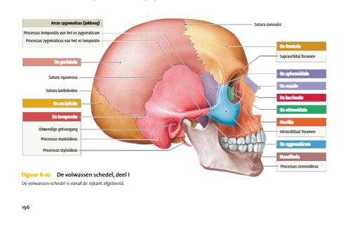 590fb0763f7d.png