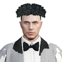 15395037de53.png