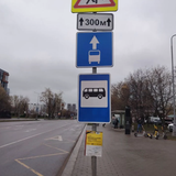 15556481.png