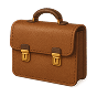 Laptop bag.png