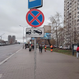 15557198.png