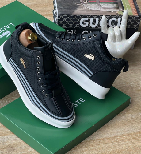 temp.png