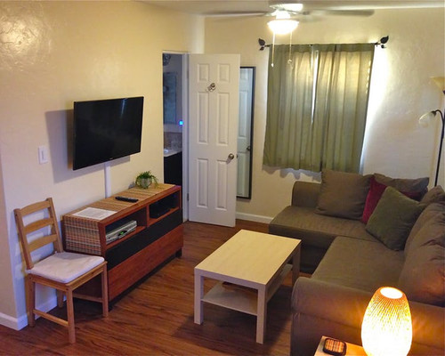 Pet-Friendly Accommodations in San Diego: Travel Comfortably with Your Pets.jpg