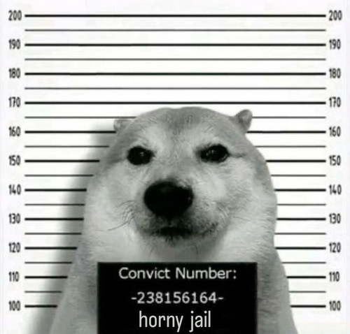 126b9df93a5859cbc6c7405c50c30dc0.jpg