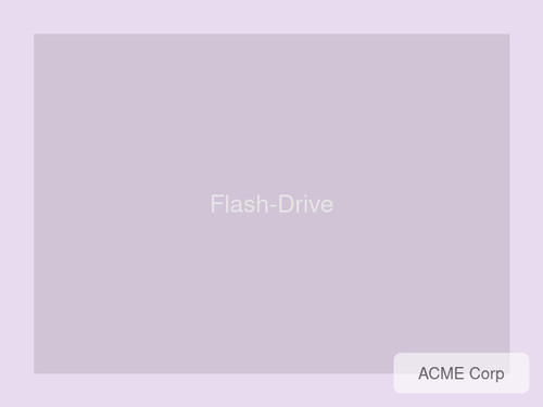 product 20 Flash Drive.jpg