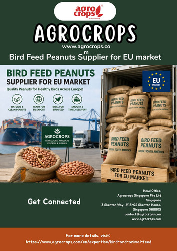 Bird Feed Peanuts Supplier for EU market.jpg