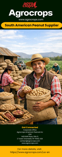South American Peanut Supplier.jpg