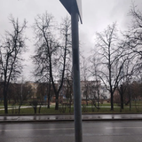11543245.png