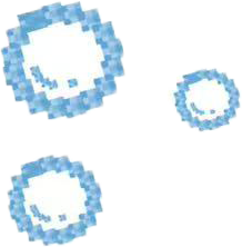 泡泡.png