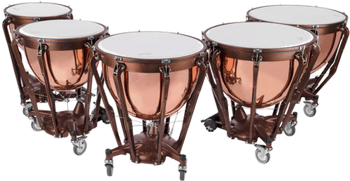 Percussion Timpani.png