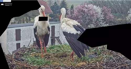 MWSnap655.jpg