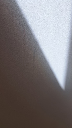 20260415 112517.jpg