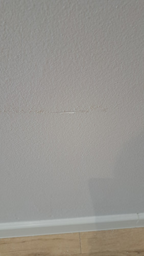 20260415 113044.jpg