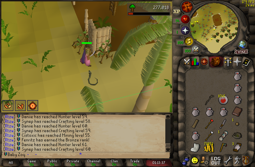 RuneLite Y0WTkaAneR.png