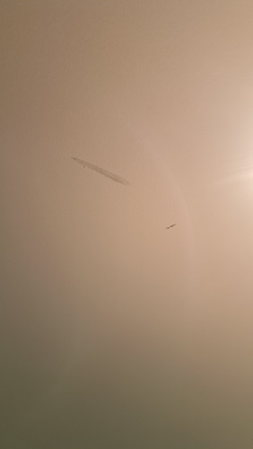 20260415 123432.jpg