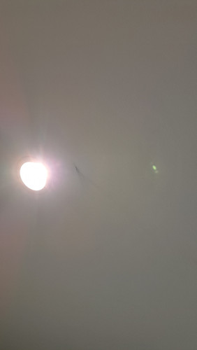 20260415 123425.jpg