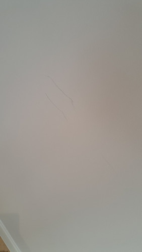 20260409 111124.jpg