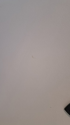20260415 114805.jpg