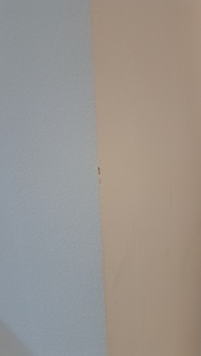 20260415 112444.jpg