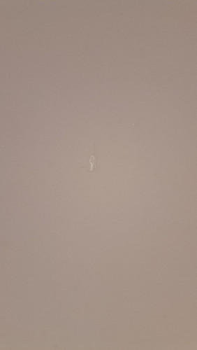 20260415 113110.jpg