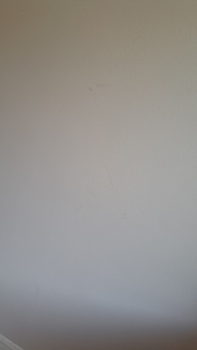20260415 112549.jpg