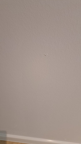20260415 114607.jpg