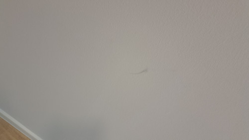 20260415 114545.jpg