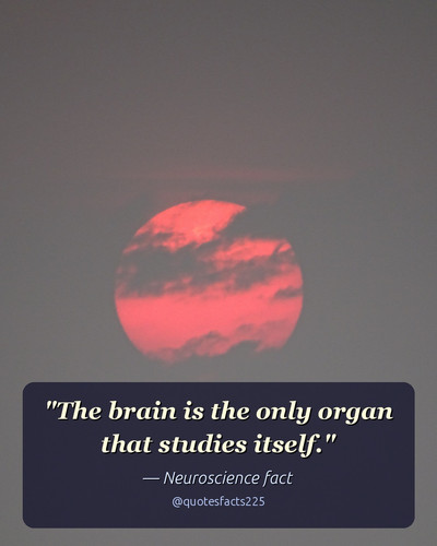 today quoted.jpg