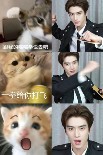 1000105433.png