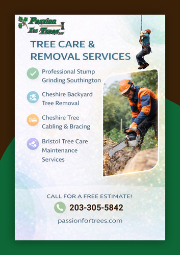 Cheshire Tree Cabling & Bracing.jpg