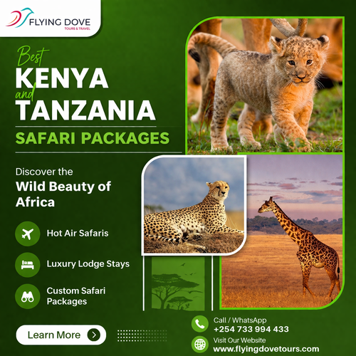 Best Kenya and Tanzania Safari Packages.png