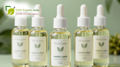 Premium White Lotus Absolute Oil Supply.jpg