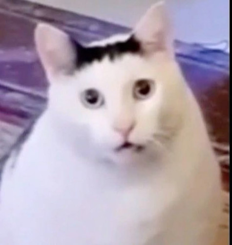 3bbbed57c22f.jpg