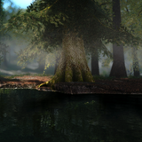 beauty of skyrim 28235955641 o