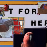 Untitled.png