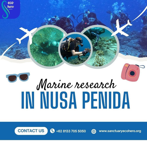 Marine research in Nusa Penida.jpg