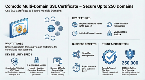 Secure Business Websites with Comodo Multi-Domain SSL Pro.png