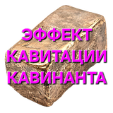 1000009831.png