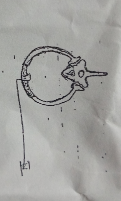 temp.png